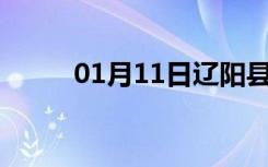 01月11日辽阳县24小时天气预报