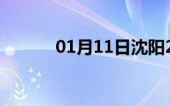 01月11日沈阳24小时天气预报