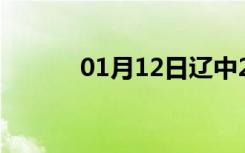 01月12日辽中24小时天气预报