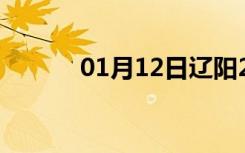 01月12日辽阳24小时天气预报