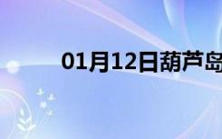 01月12日葫芦岛24小时天气预报