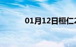 01月12日桓仁24小时天气预报