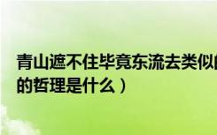 青山遮不住毕竟东流去类似的句子（青山遮不住毕竟东流去的哲理是什么）