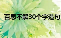 百思不解30个字造句（百思不解怎么造句）