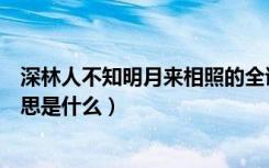 深林人不知明月来相照的全诗（深林人不知明月来相照的意思是什么）