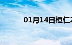 01月14日桓仁24小时天气预报