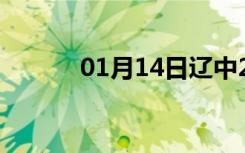 01月14日辽中24小时天气预报