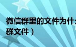 微信群里的文件为什么不显示（微信群为啥没群文件）