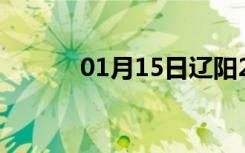 01月15日辽阳24小时天气预报