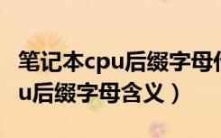 笔记本cpu后缀字母代表什么意思（笔记本cpu后缀字母含义）