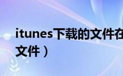 itunes下载的文件在哪（没有itunes怎么传文件）