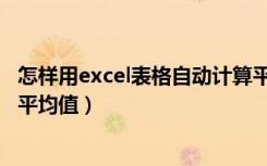 怎样用excel表格自动计算平均值（怎样设置excel自动计算平均值）