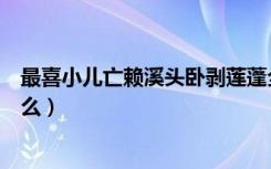 最喜小儿亡赖溪头卧剥莲蓬全诗（最喜小儿亡赖下一句是什么）