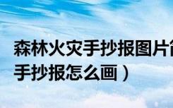 森林火灾手抄报图片简单又漂亮（防森林火灾手抄报怎么画）