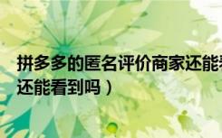 拼多多的匿名评价商家还能看出吗（拼多多匿名评价了商家还能看到吗）