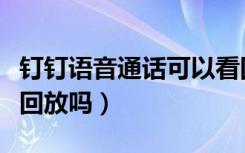 钉钉语音通话可以看回放吗（钉钉语音会议能回放吗）