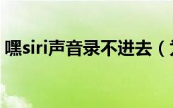 嘿siri声音录不进去（为什么嘿siri录不进去）