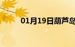 01月19日葫芦岛24小时天气预报