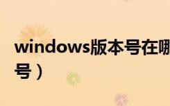 windows版本号在哪看（查看windows版本号）