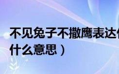 不见兔子不撒鹰表达什么（不见兔子不撒鹰是什么意思）