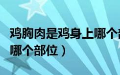 鸡胸肉是鸡身上哪个部位的肉（鸡胸肉是鸡的哪个部位）