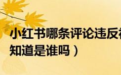 小红书哪条评论违反社区公约（小红书举报人知道是谁吗）