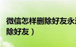 微信怎样删除好友永远加不上来（怎样永远删除好友）