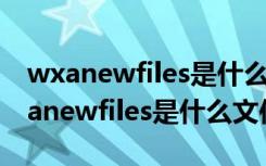 wxanewfiles是什么文件夹可以删除吗（wxanewfiles是什么文件夹）