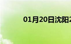 01月20日沈阳24小时天气预报