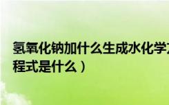 氢氧化钠加什么生成水化学方程式（氢氧化钠加水的化学方程式是什么）