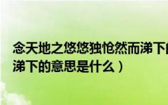 念天地之悠悠独怆然而涕下的意思（念天地之悠悠独怆然而涕下的意思是什么）