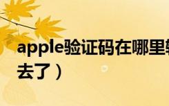 apple验证码在哪里输入（apple验证码发哪去了）