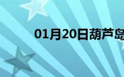 01月20日葫芦岛24小时天气预报