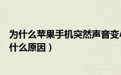 为什么苹果手机突然声音变小了（苹果手机突然声音变小了什么原因）