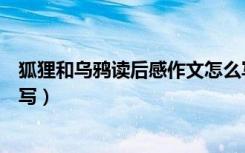 狐狸和乌鸦读后感作文怎么写（《狐狸和乌鸦》读后感怎么写）