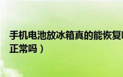 手机电池放冰箱真的能恢复吗（手机电池放冰箱里冻能恢复正常吗）