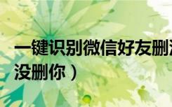 一键识别微信好友删没删你（咋看微信好友删没删你）