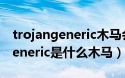 trojangeneric木马会不会被盗取（trojan.generic是什么木马）