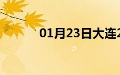 01月23日大连24小时天气预报