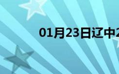 01月23日辽中24小时天气预报