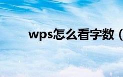 wps怎么看字数（wps怎么看字数）