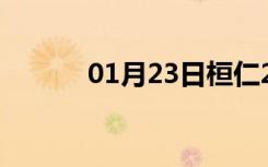 01月23日桓仁24小时天气预报