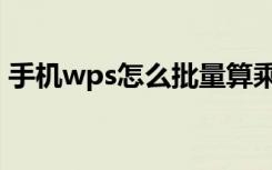 手机wps怎么批量算乘法（wps怎么算乘法）