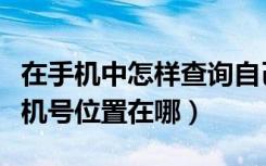 在手机中怎样查询自己的手机号（怎么查找手机号位置在哪）