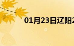 01月23日辽阳24小时天气预报