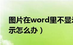 图片在word里不显示（word的图片不能显示怎么办）