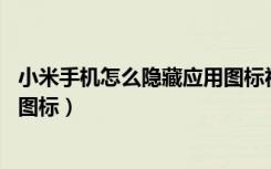 小米手机怎么隐藏应用图标视频（ 小米手机怎么自定义应用图标）