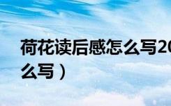 荷花读后感怎么写20字（《荷花》读后感怎么写）