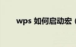 wps 如何启动宏（wps怎么启动宏）