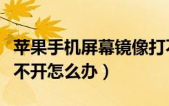 苹果手机屏幕镜像打不开怎么办（屏幕镜像打不开怎么办）